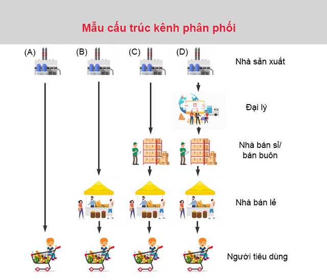 mẫu cấu trúc kênh phân phối 