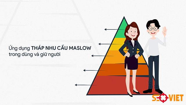Ứng dụng tháp nhu cầu trong công ty
