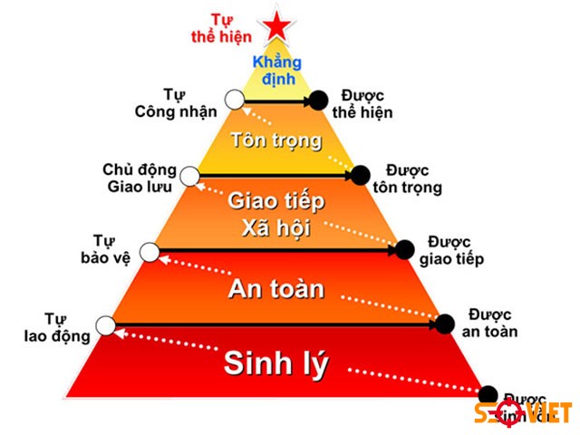 Ứng dụng tháp nhu cầu trong marketing