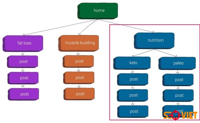 cấu trúc Website phẳng