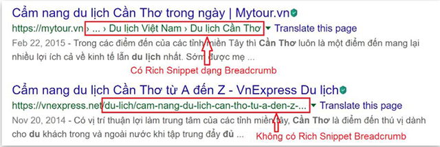 Các loại Rich Snippets 1