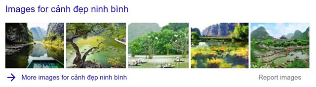 Các loại Rich Snippets 11