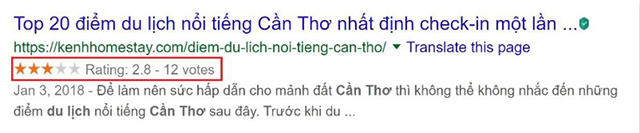 Các loại Rich Snippets 2