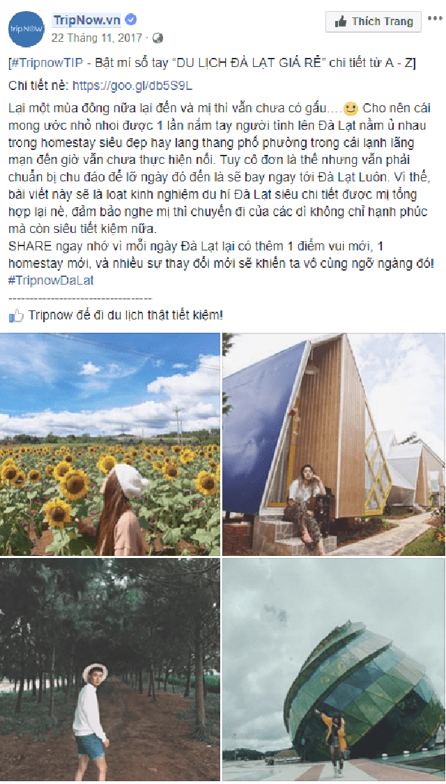 Mẫu content marketing hay 10